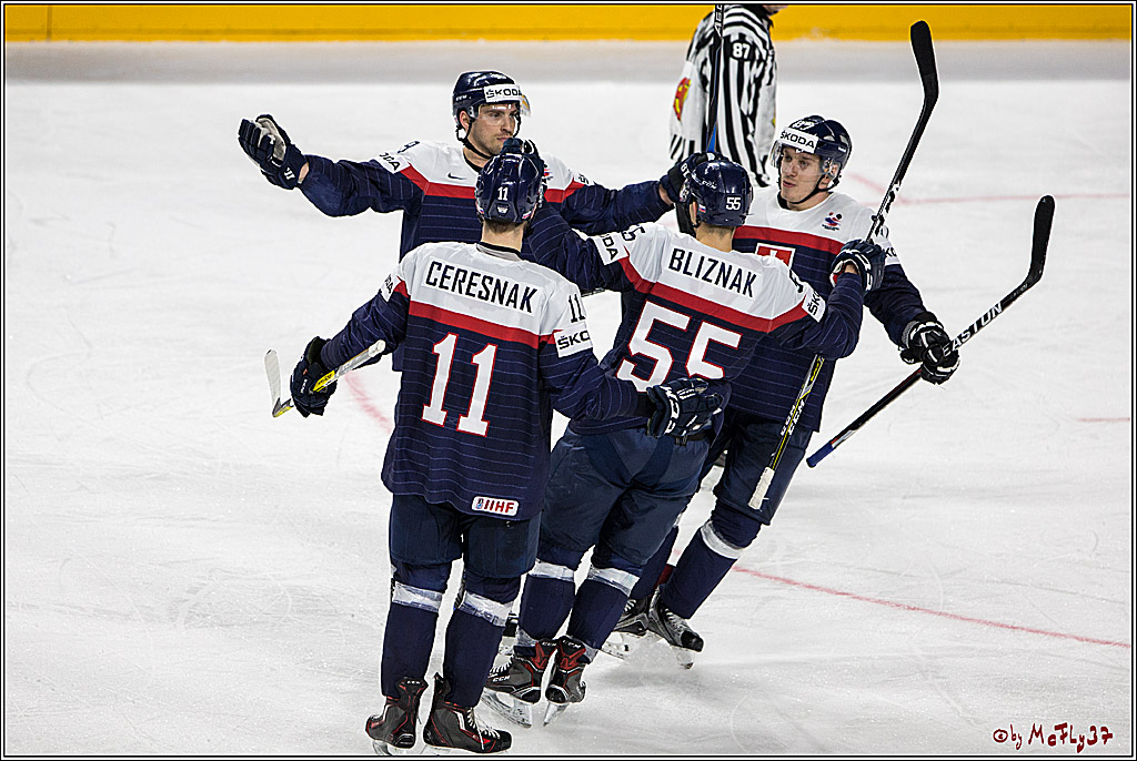 IIHF WM 2017, Slowakei - Daenemark, 09.05.2017